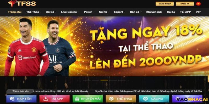 Đăng ký TF88 – Nền tảng cá cược trực tuyến khuyến mãi khủng