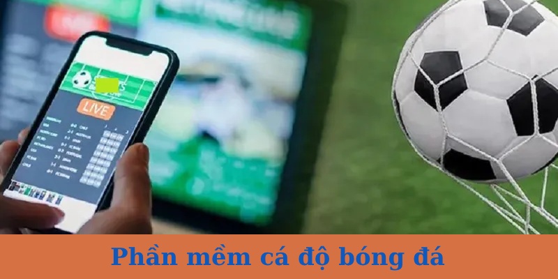 3+ tool cá cược được yêu thích nhất (kèm link tải)