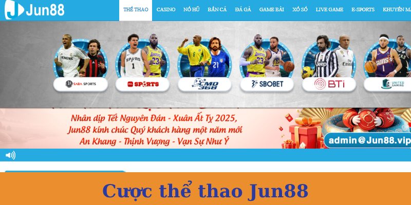 Cá độ thể thao hấp dẫn với nhiều loại kèo 